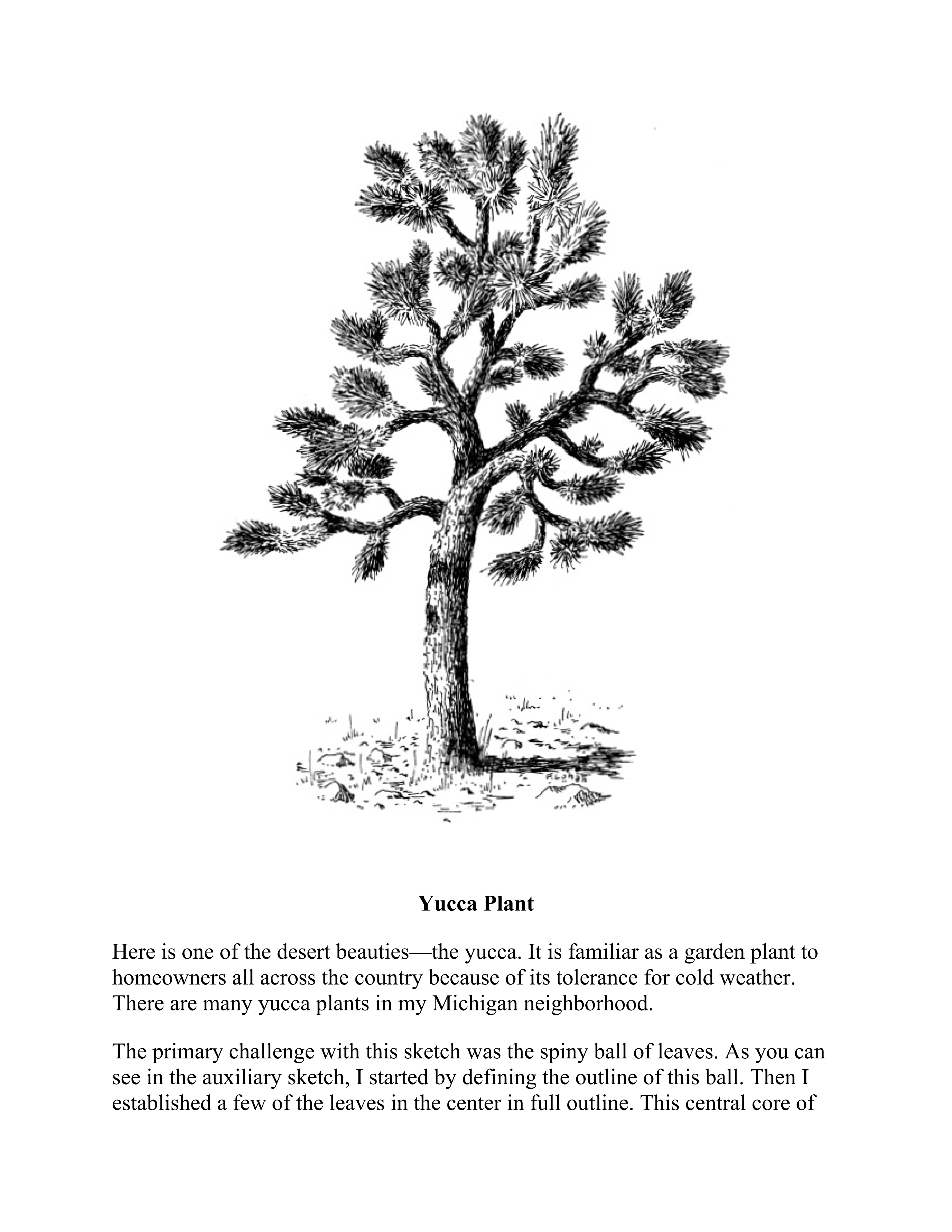 آموزش نقاشی طراحی سیاه قلم شهرری